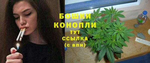 прущие крисы Верея